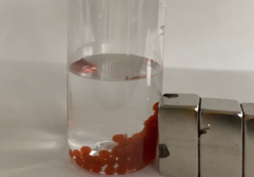 Magnetic Ironoxide Hydrogel Beads